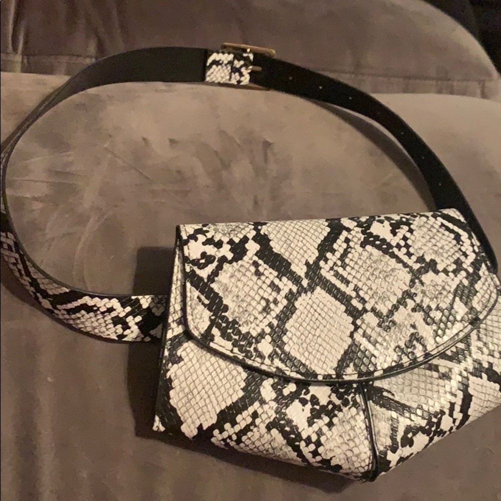 Fanny pack